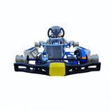 FA Alonso Kart Mini Kart