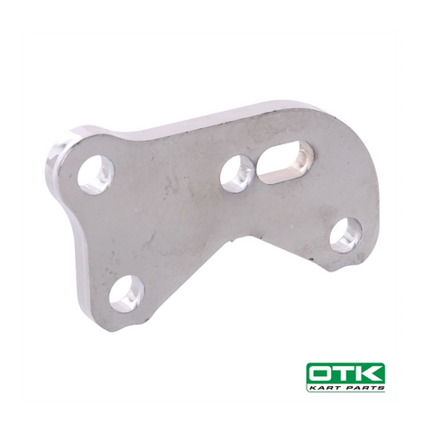 CALIPER SUPPORT BSM MINI
