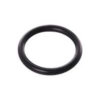 FRONT CALIPER'S PLUG KZ BSSO-RING