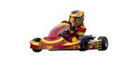DAP Mini Kart
