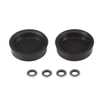 Oil Seal Kit for RR 2P Caliper