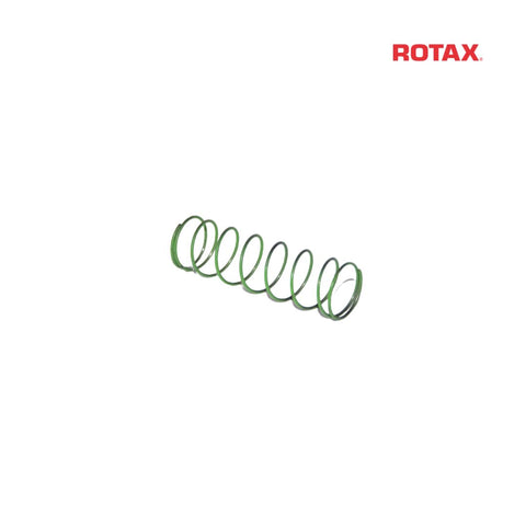 Power Valve Compression Spring - 48.5/0.8mm - EVO