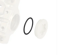 REAR CALIPER PLUG BSD O-RING