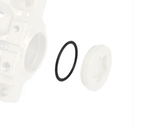 REAR CALIPER PLUG BSD O-RING