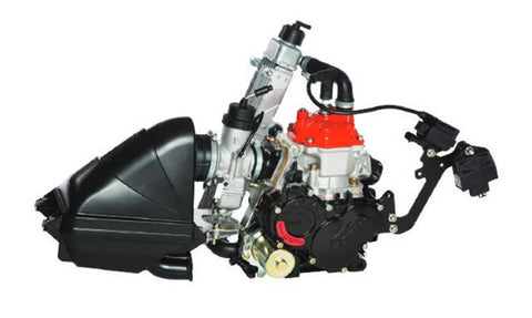 Rotax 125 MICRO MAX EVO Engine Kit
