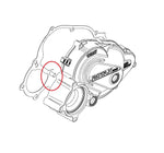 Rotax Balance/Starter Gear Needle Pin - DD2