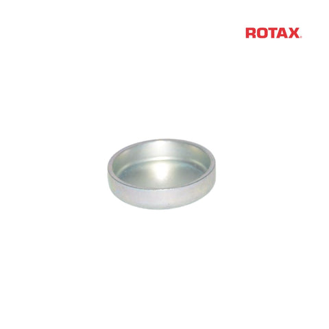 Rotax Crankcase - Plug
