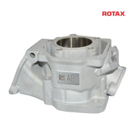 Rotax Cylinder - SENIOR MAX EVO - 2024 ONWARDS