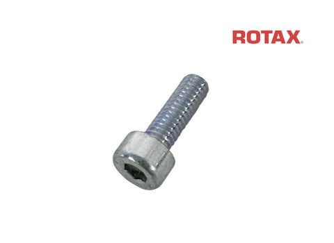 Rotax Exhaust Stinger Screw - M4x12