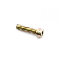 Rotax PLASTITE SCREW 6X25