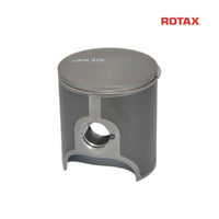 Rotax Piston and Ring – EVO