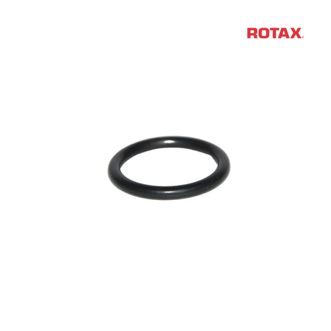 Rotax Power Valve O-Ring - EVO