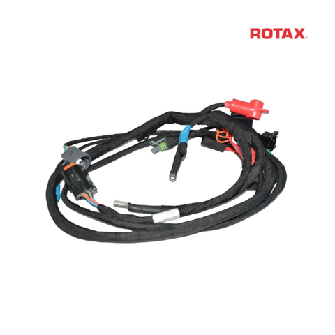 Rotax Wiring Harness - EVO