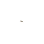 Brake BS6 Magnet Screw - OTK
