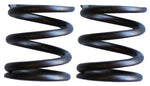 Torini 4S Valve Springs - Pair