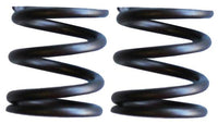 Torini 4S Valve Springs - Pair